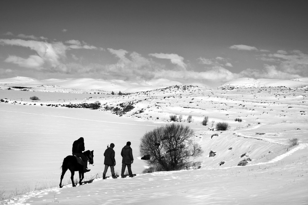 Balık avına yolculuk