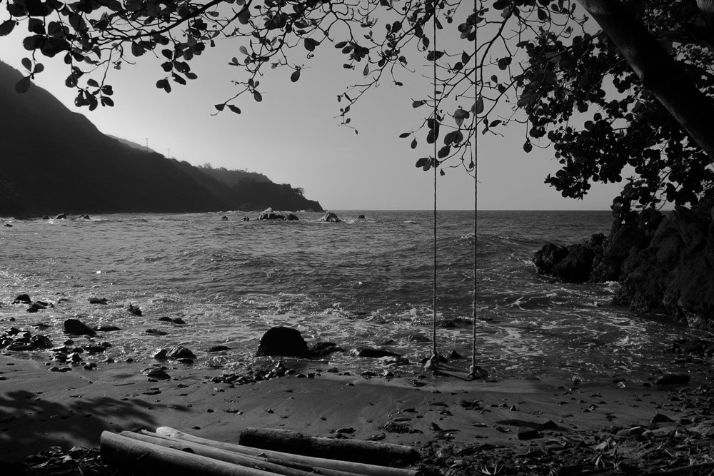 swing from the beach