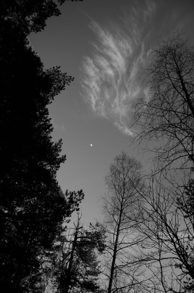 Photograph by Никита Степанов