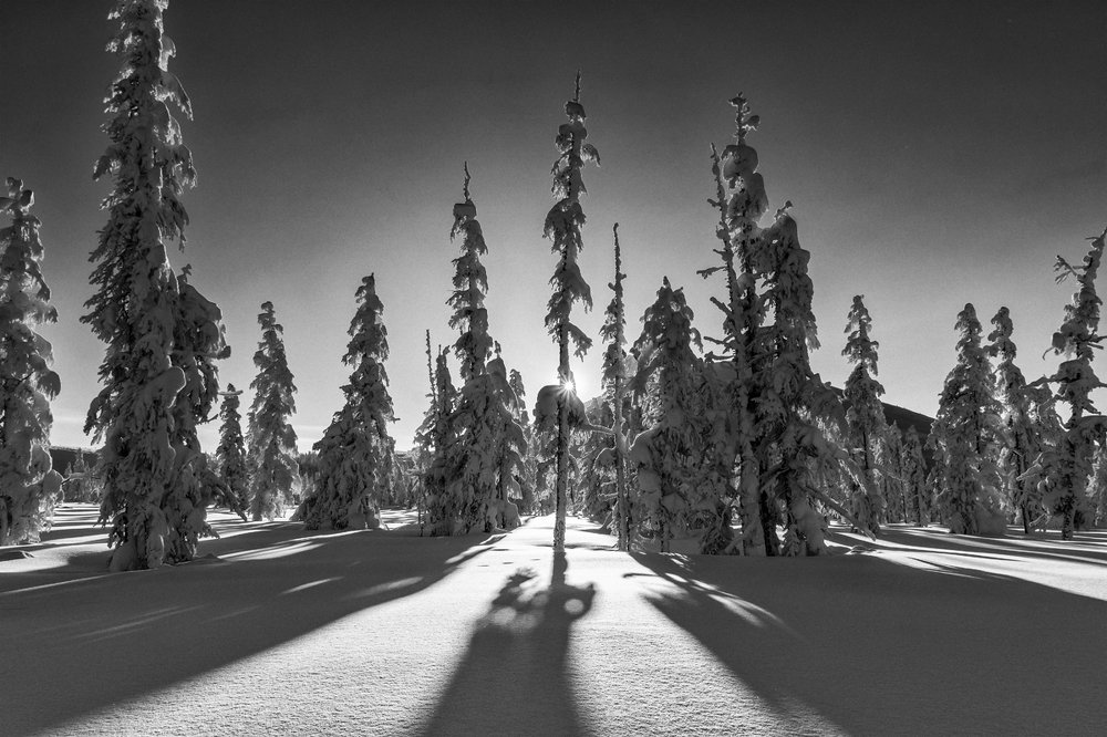 Погожий день.