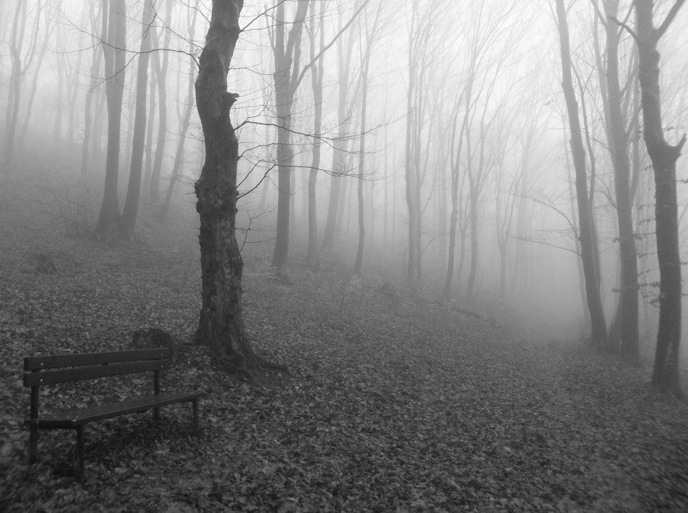 Горска магия