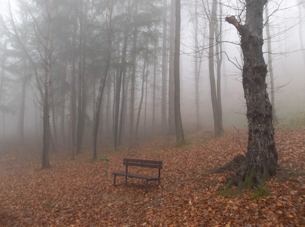 Горска магия