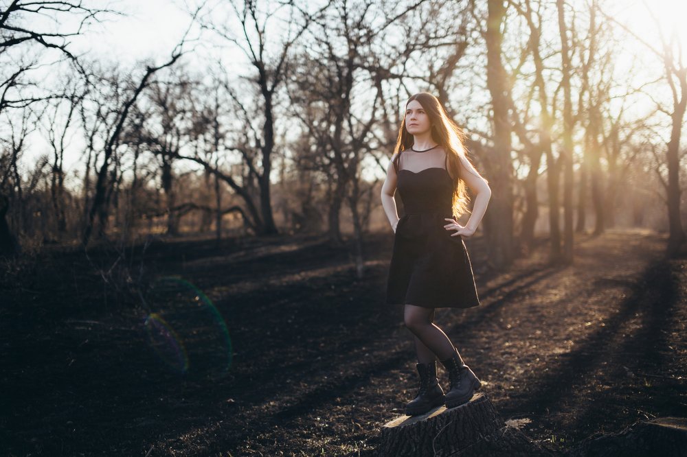 В горелом лесу