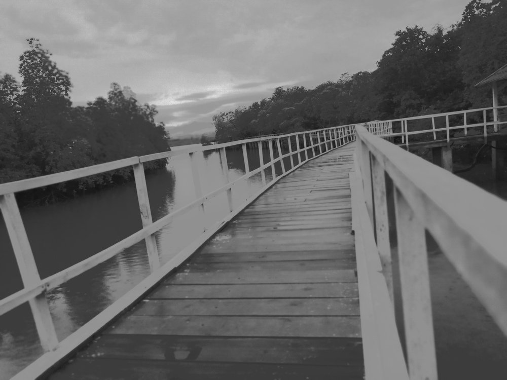 A Bridge