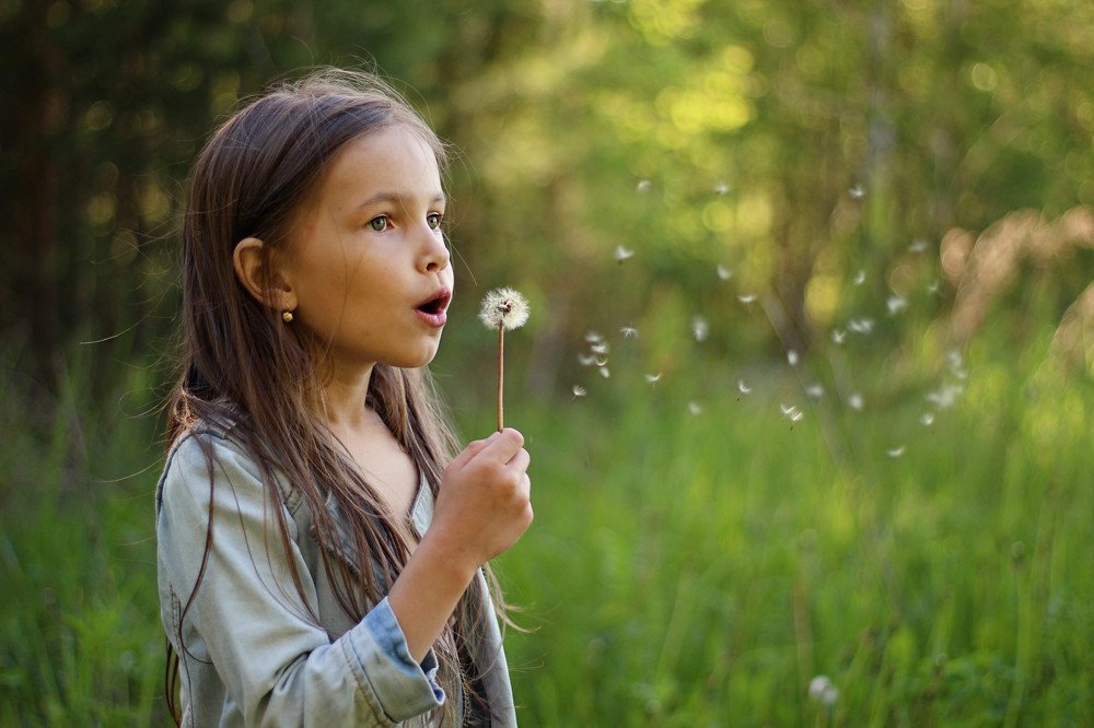 Лети - лети!!!