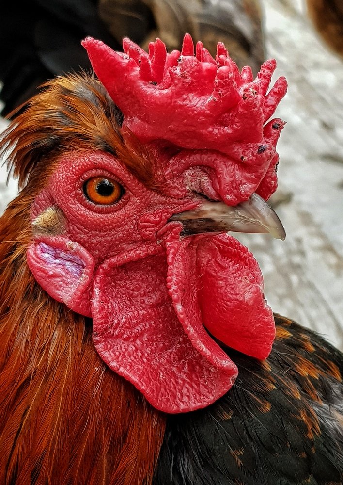 Photograph by Тимур