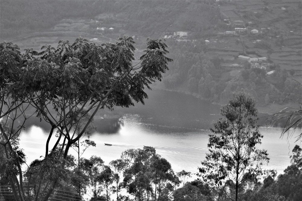 Black and white landscape