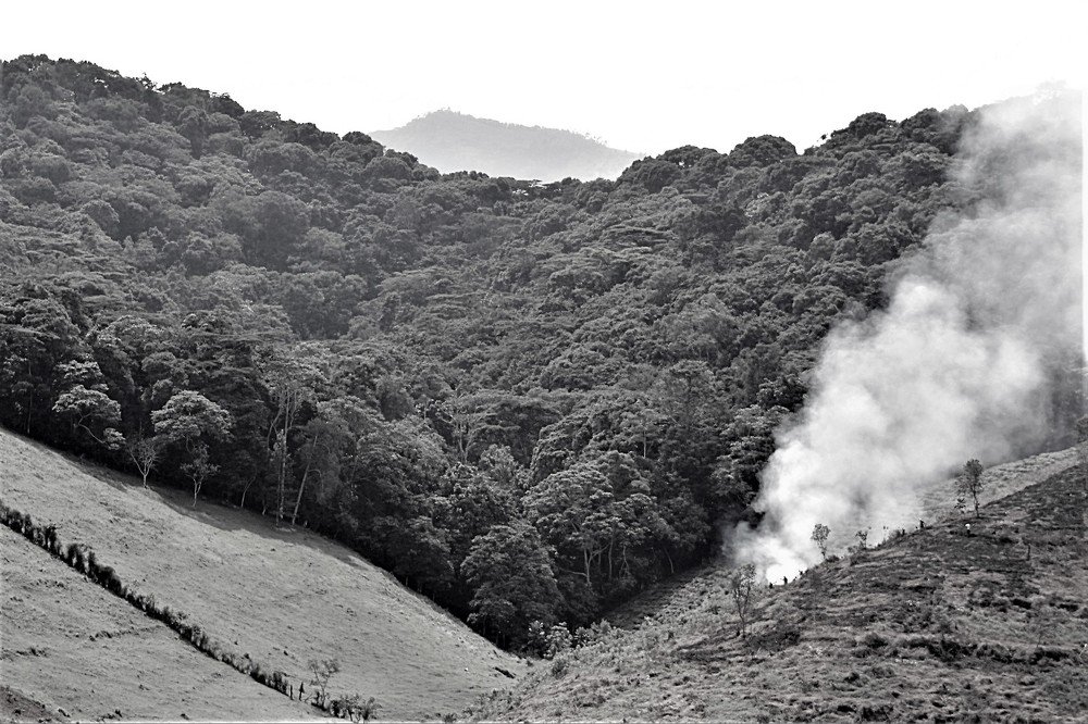 Black and white landscape