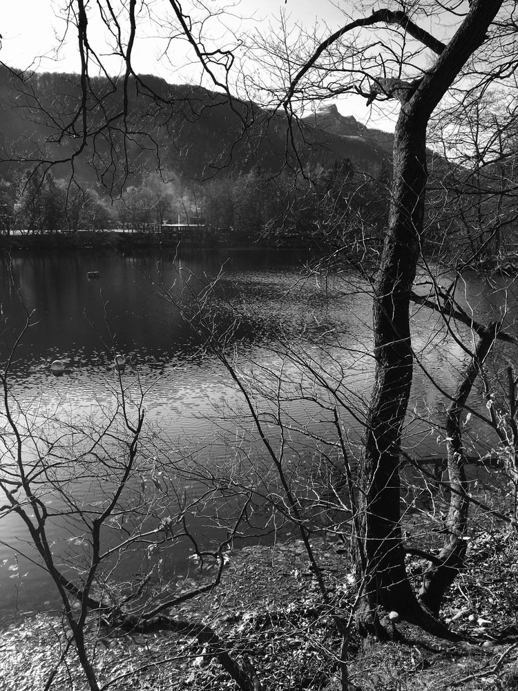 Утро на озере