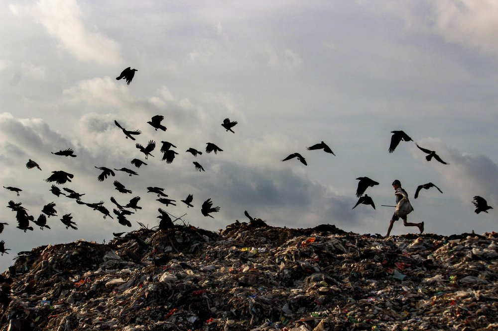 Daily life of a tokai