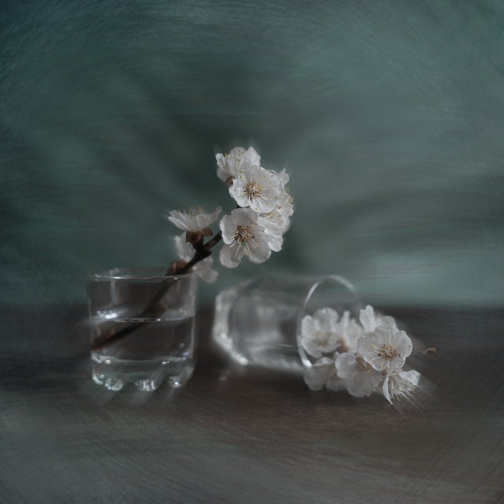 Весеннее в квадратике