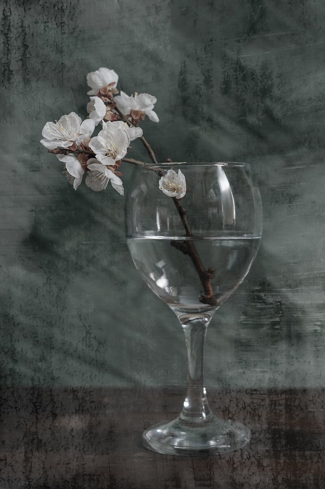 Выпьем за Весну!