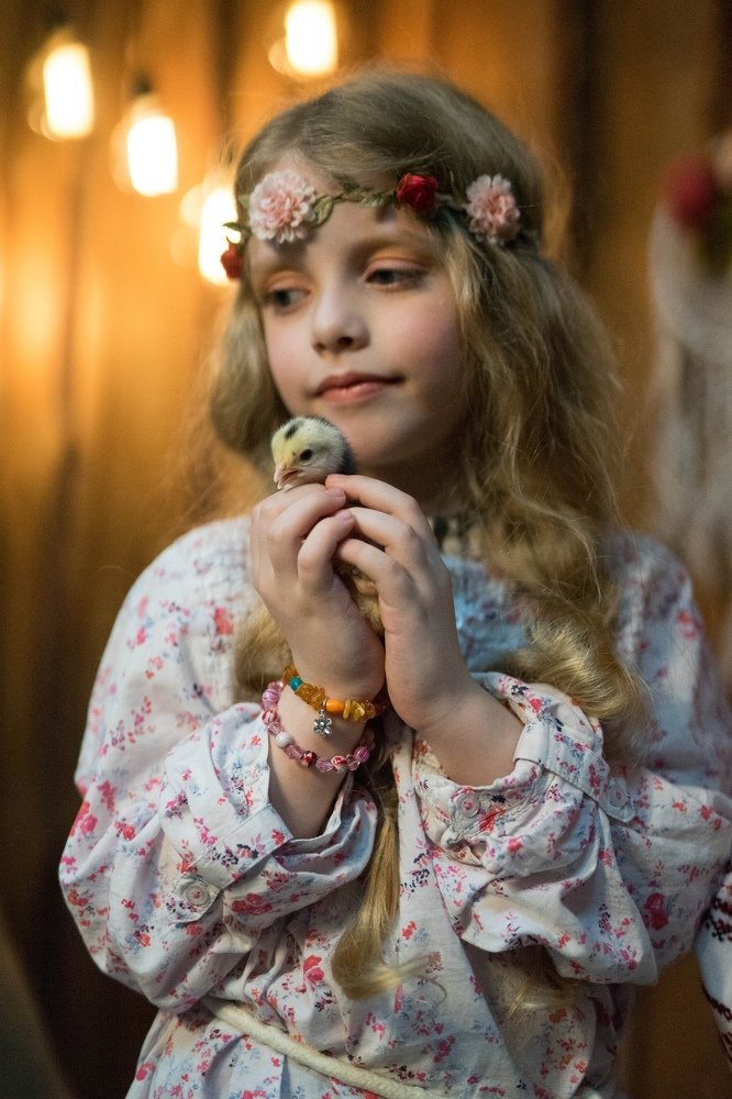 Дети и животные