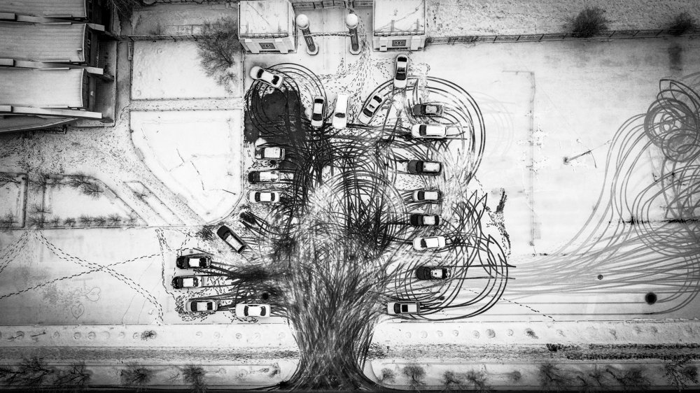 Дерево из автомобилей