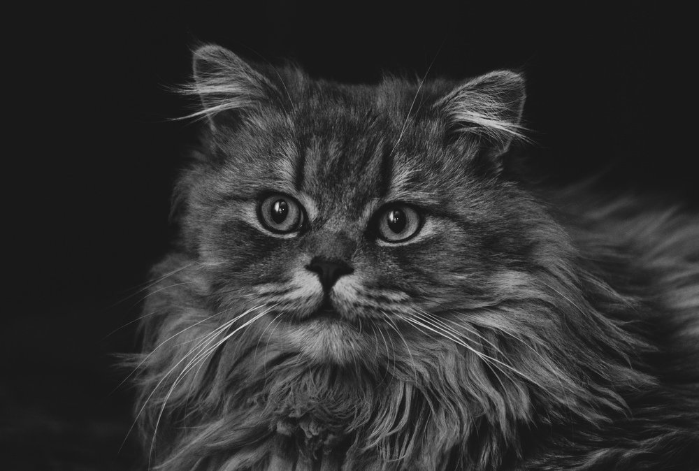 Photograph by Владимир Янчук