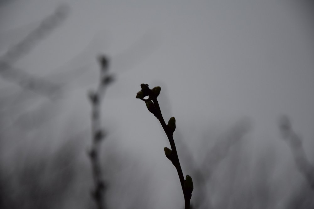 Photograph by Арина Колесник