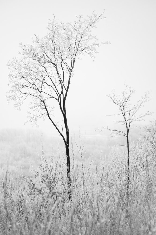 Photograph by Алексей Червяков