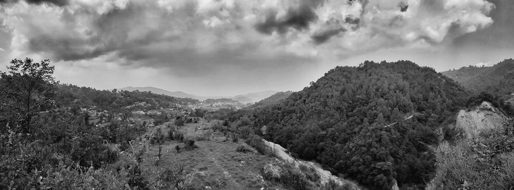 Nature without colour