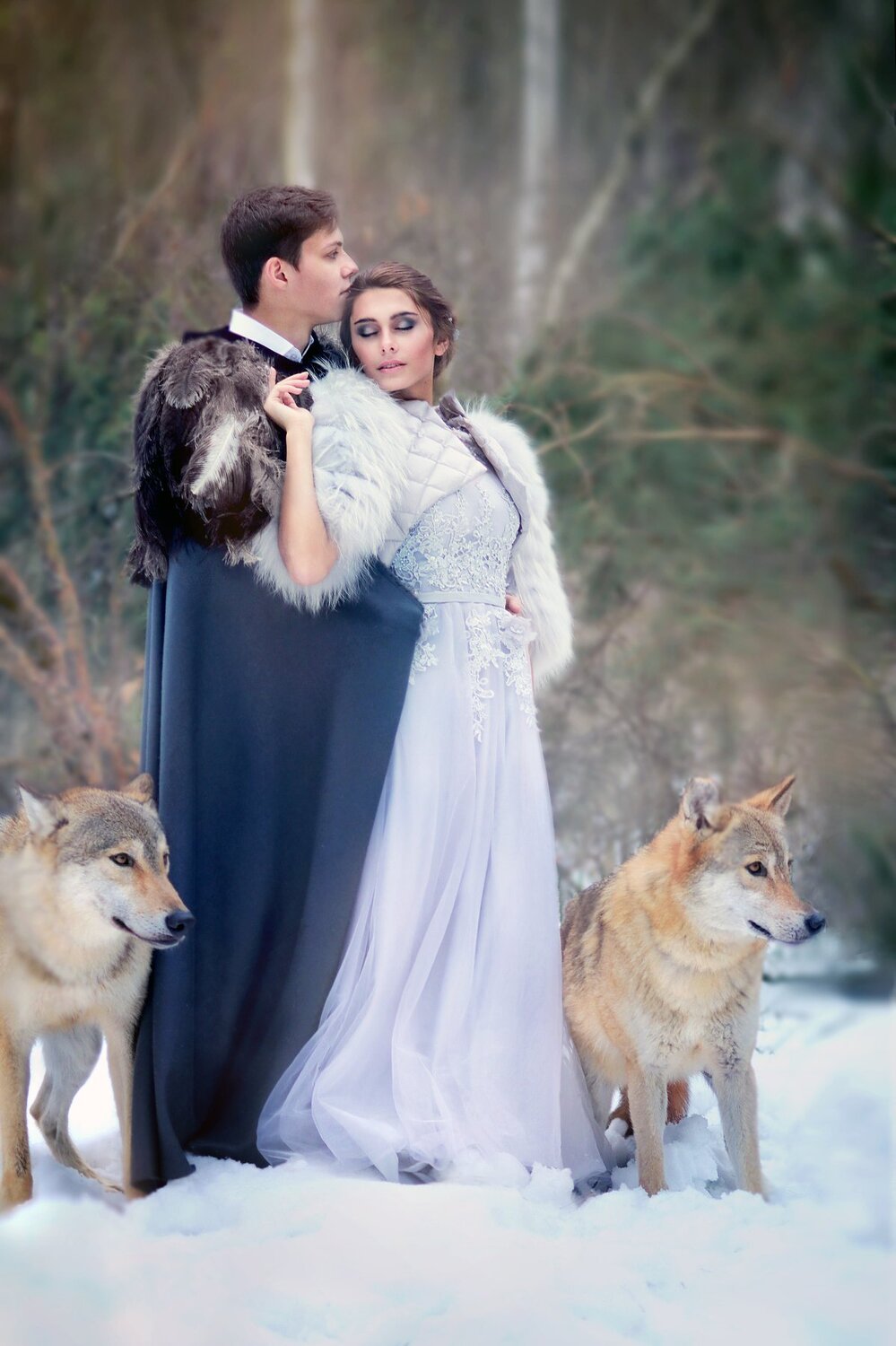 Photo #3156748