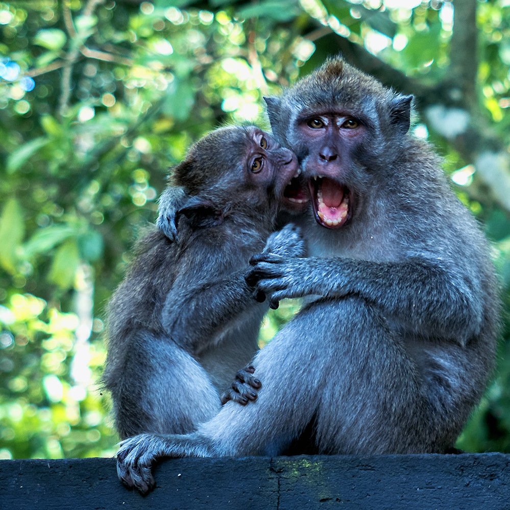 Страстная любовь к маме