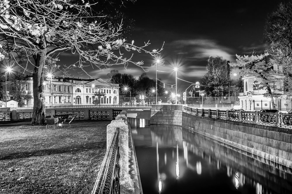 Leaves of the magic Tree - Листья волшебного дерева