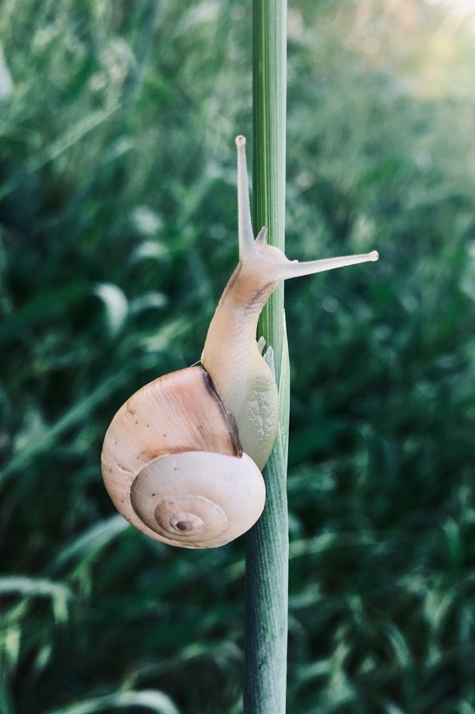Скользкая дорожка