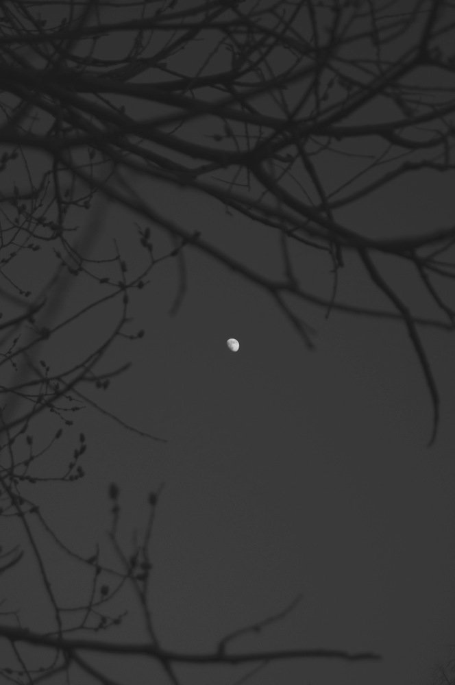 Photograph by Никита Степанов