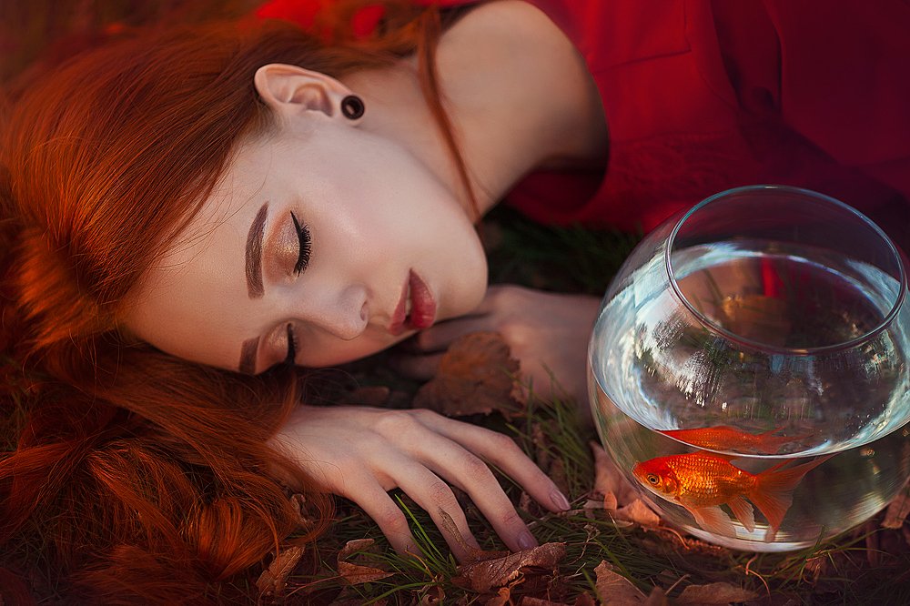 Сны моей рыбки