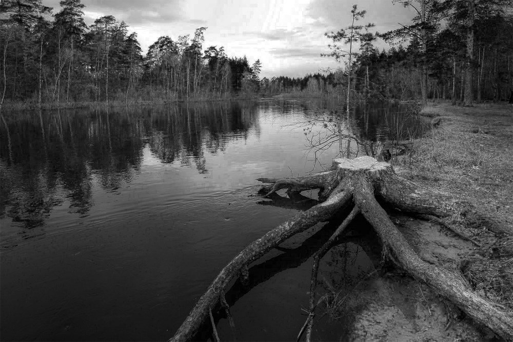 Ну, я пошел...