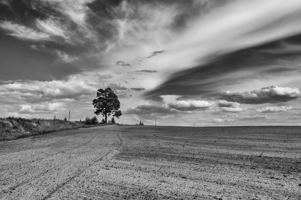 направление 2