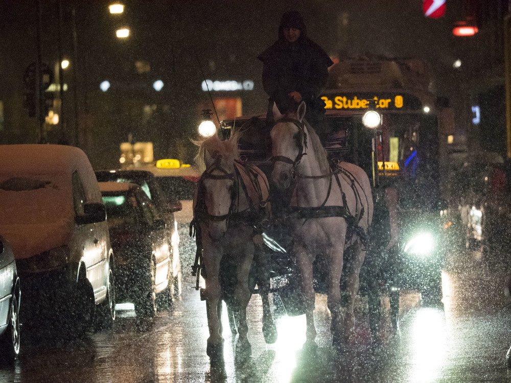Ночной экипаж. Вена, Австрия, январь 2019