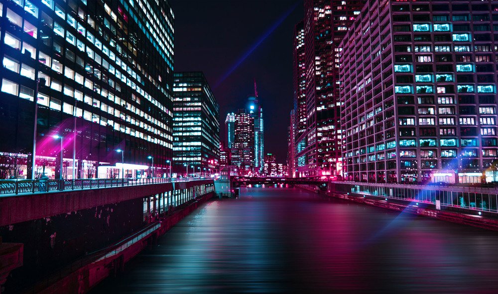 Neon rose night at Chicago