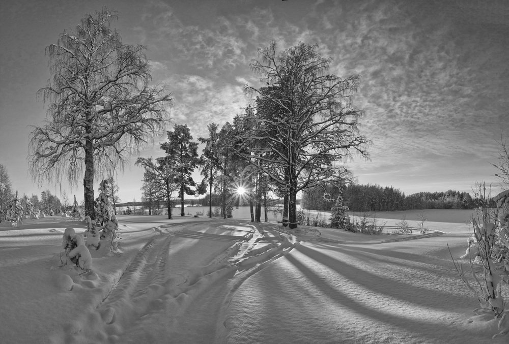 Морозный день