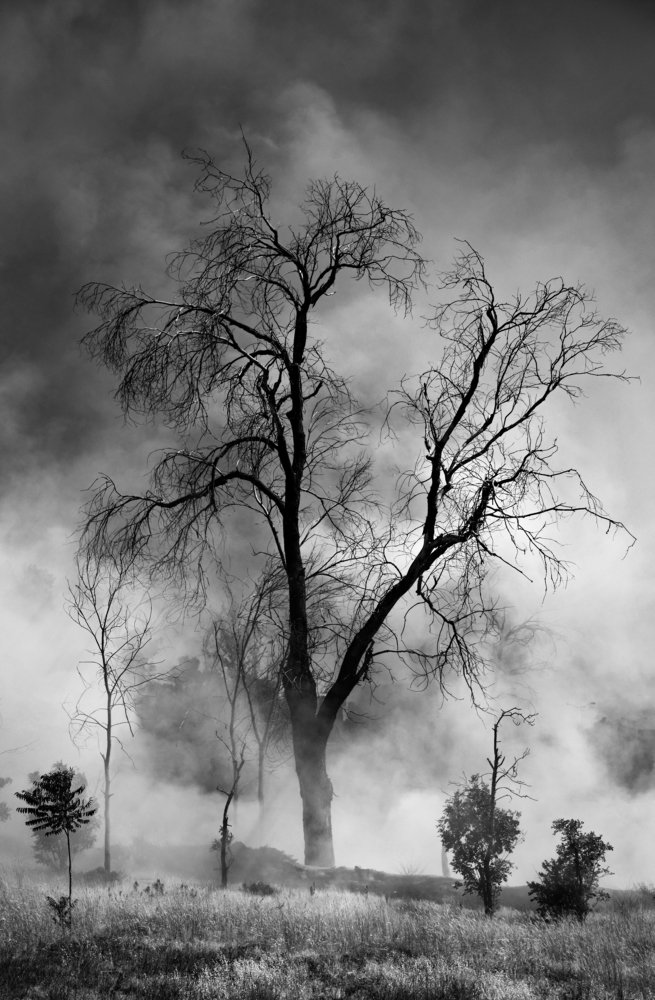 Standing in the dust