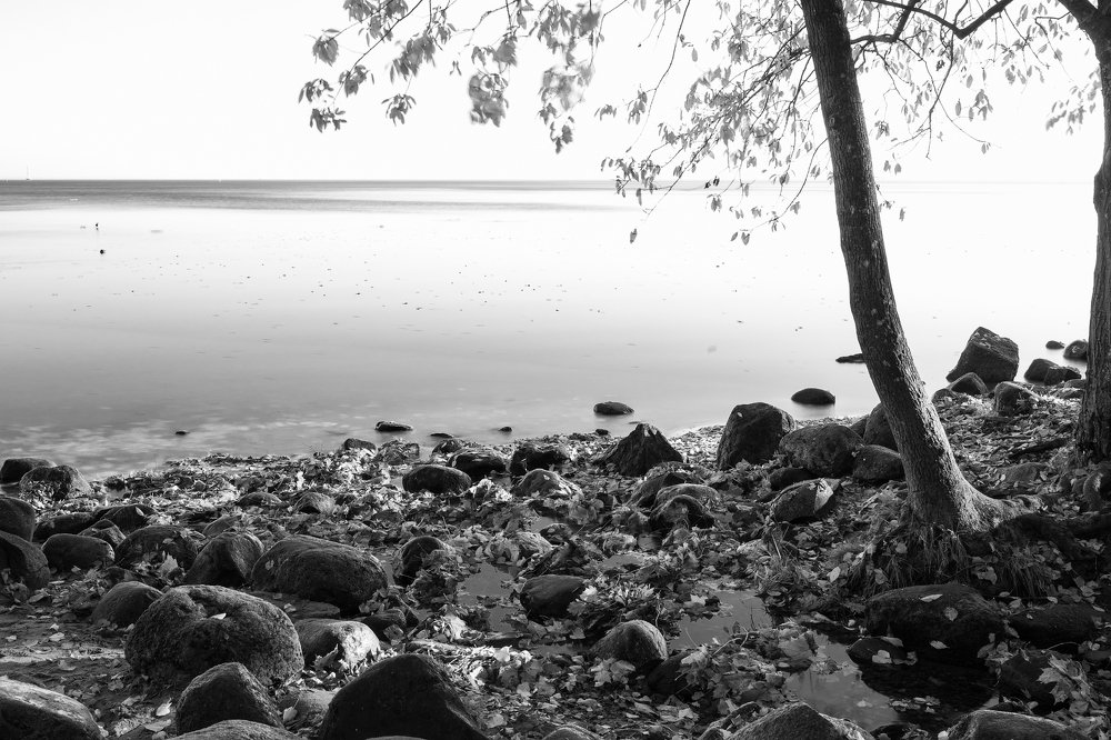 Дзен на берегу Финского залива