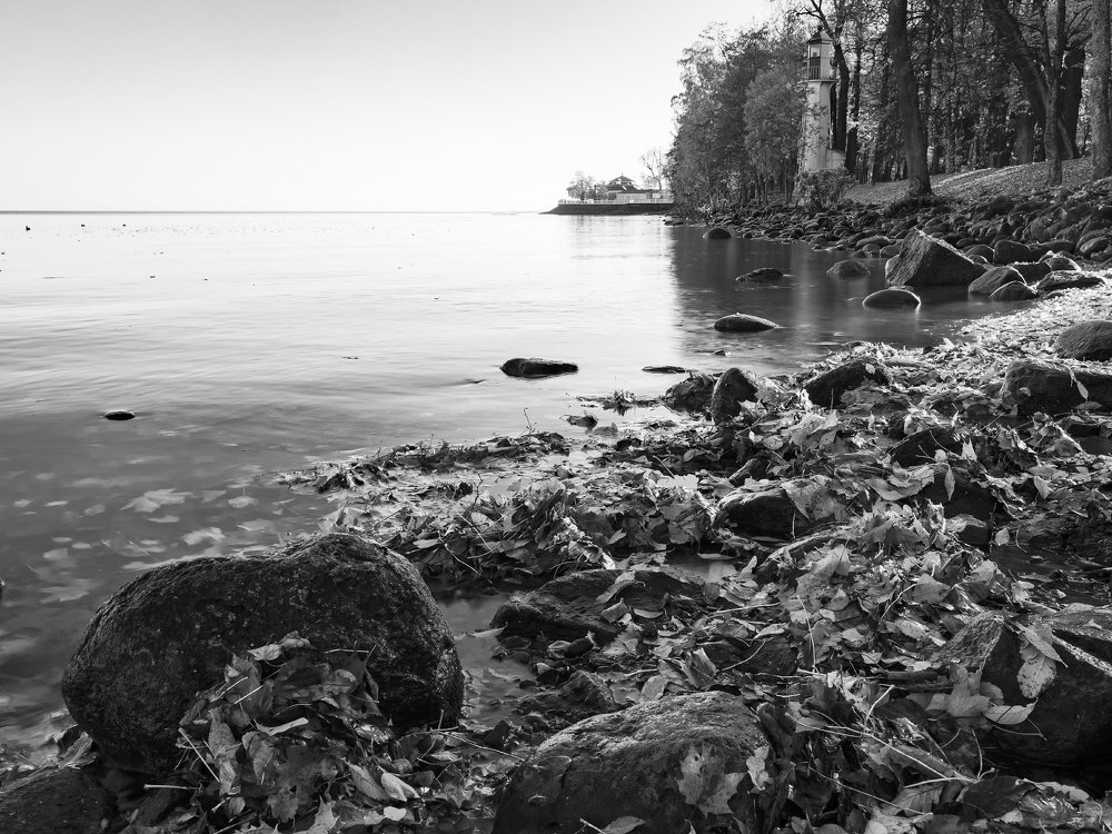 Дзен на берегу Финского залива