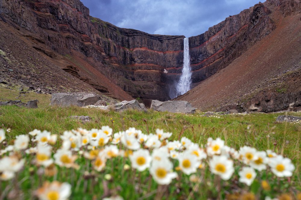 Из исландского