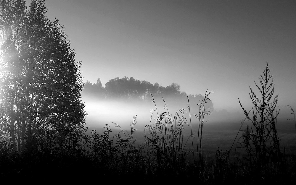 Утро в тумане