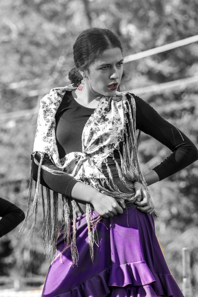 Baile flamenco