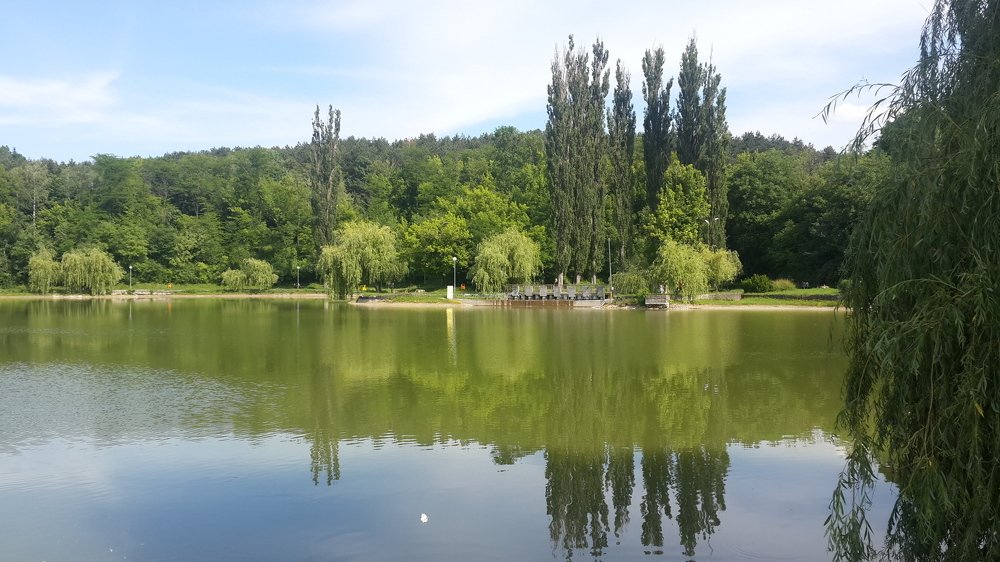 Photograph by mahmoud shihabi moni