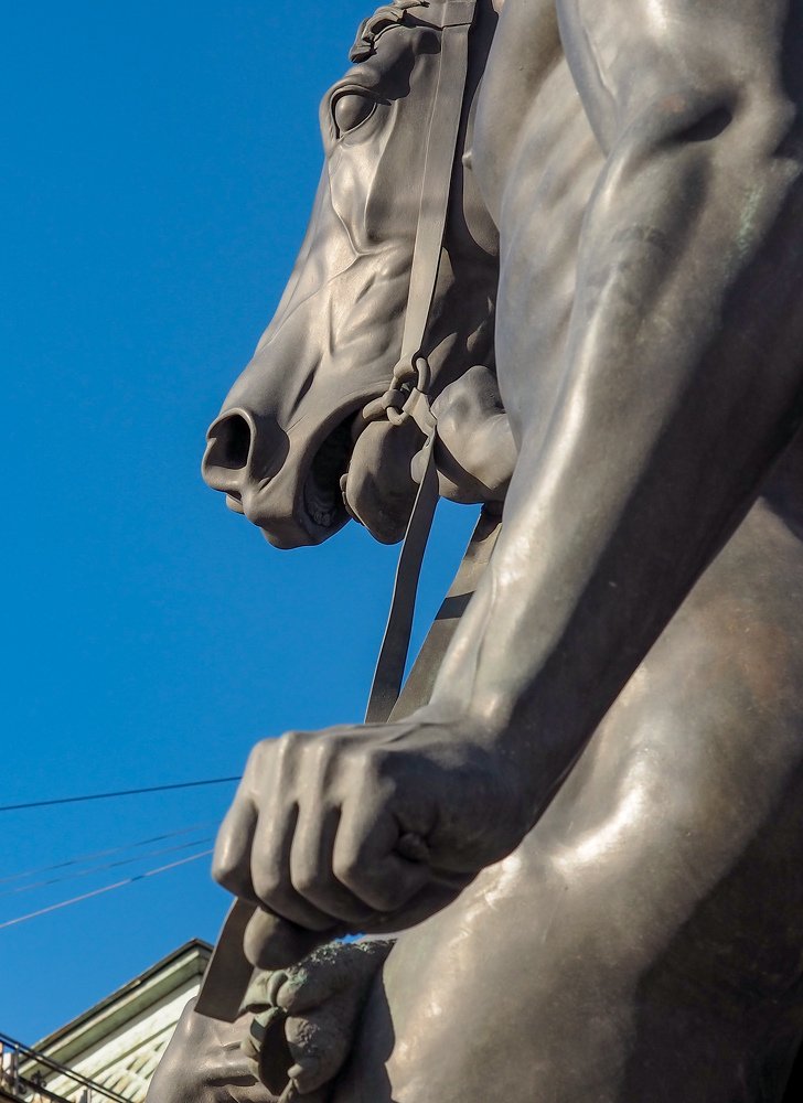 Конь и юноша