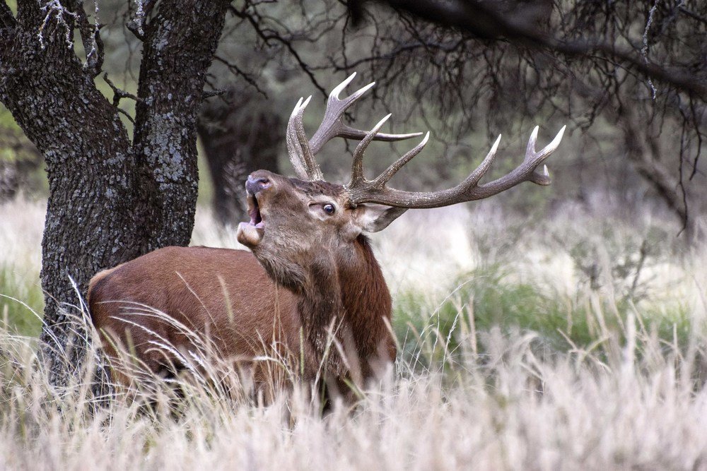 El llamado de la Naturaleza