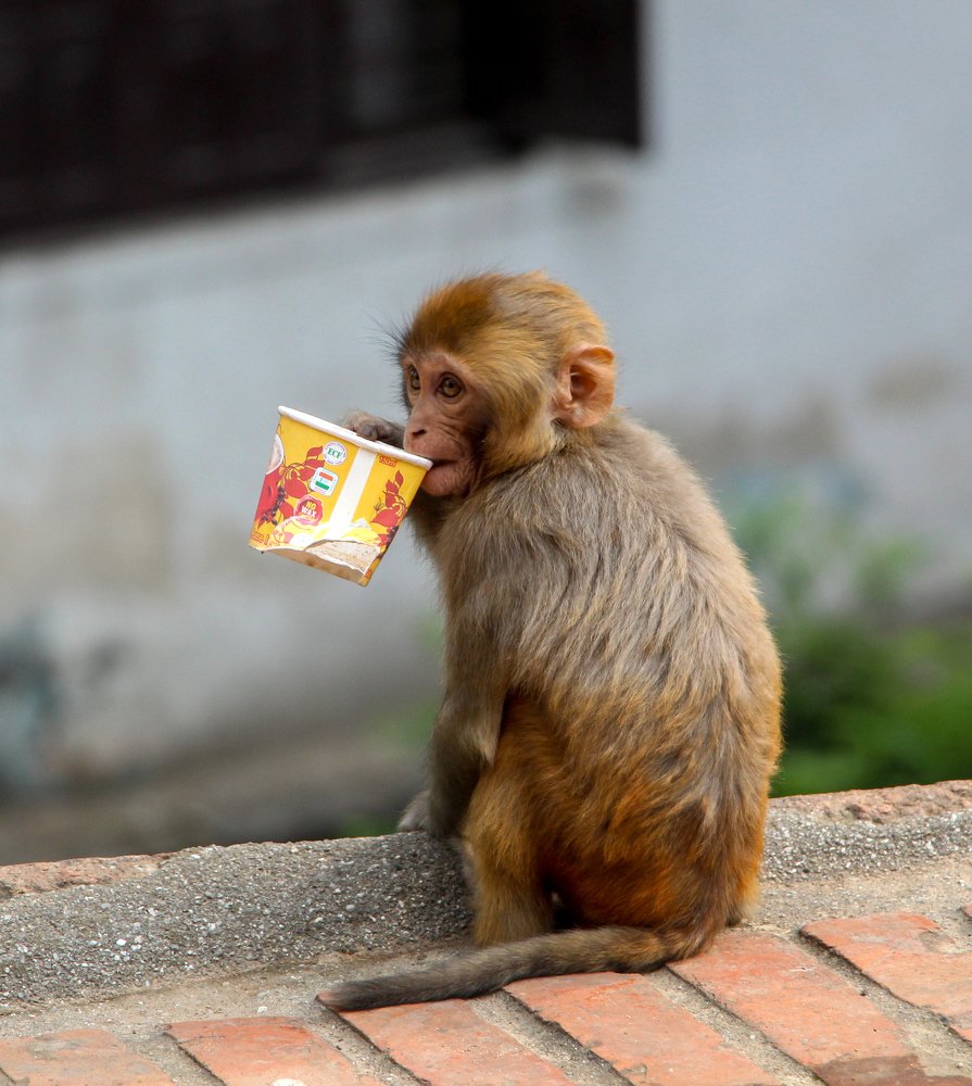 Drinking cup of tea at Pashupatinath.