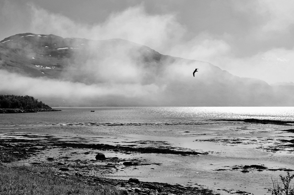 Полет над фьордом