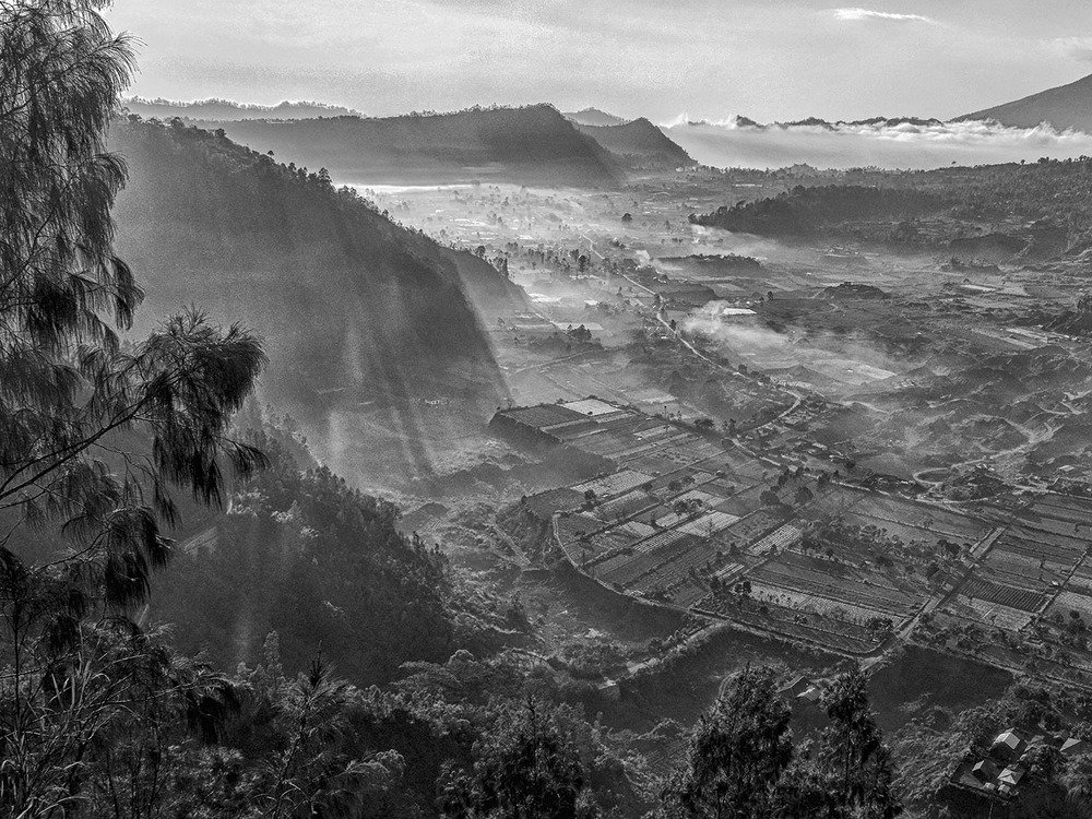 Туманное утро