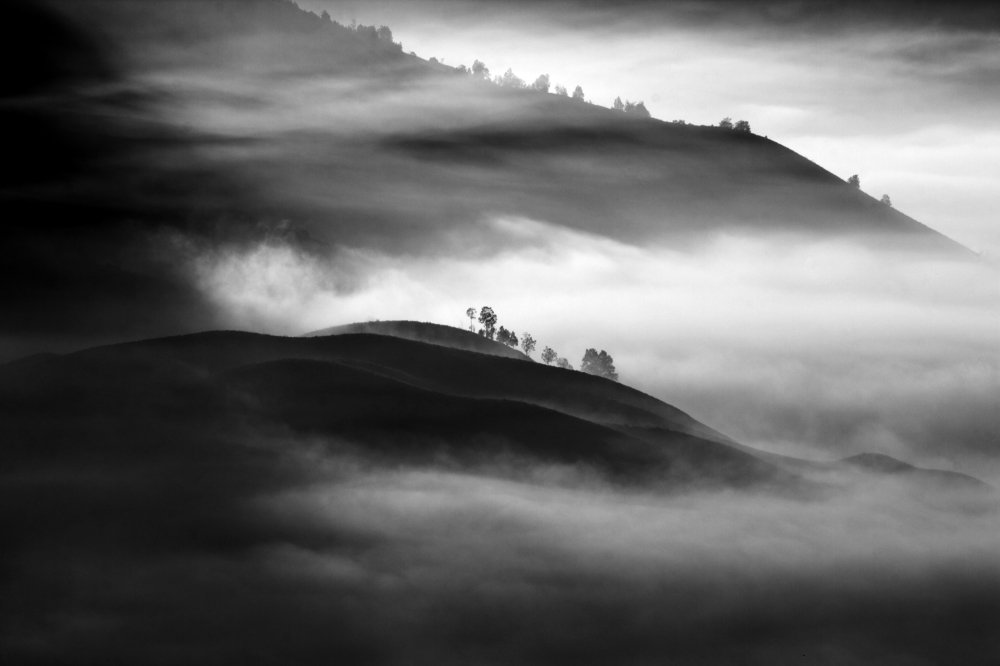 Photograph by Ages ragil