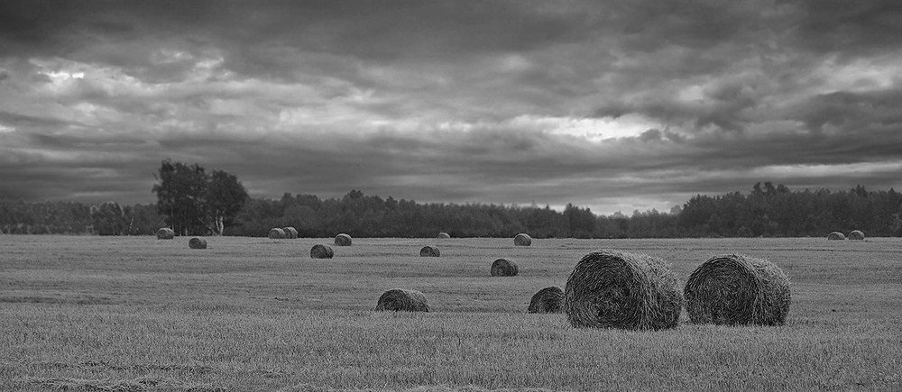 Осенние поля