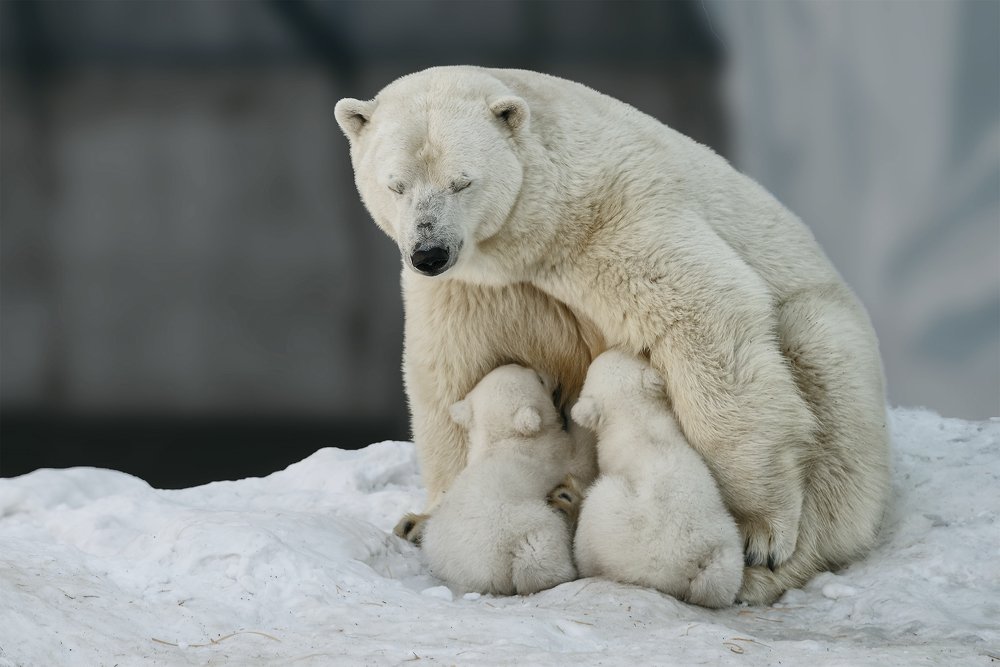 наслаждение