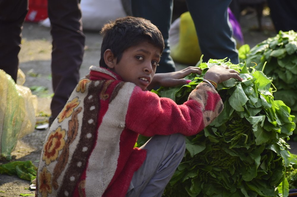 I'm little vegetable grower