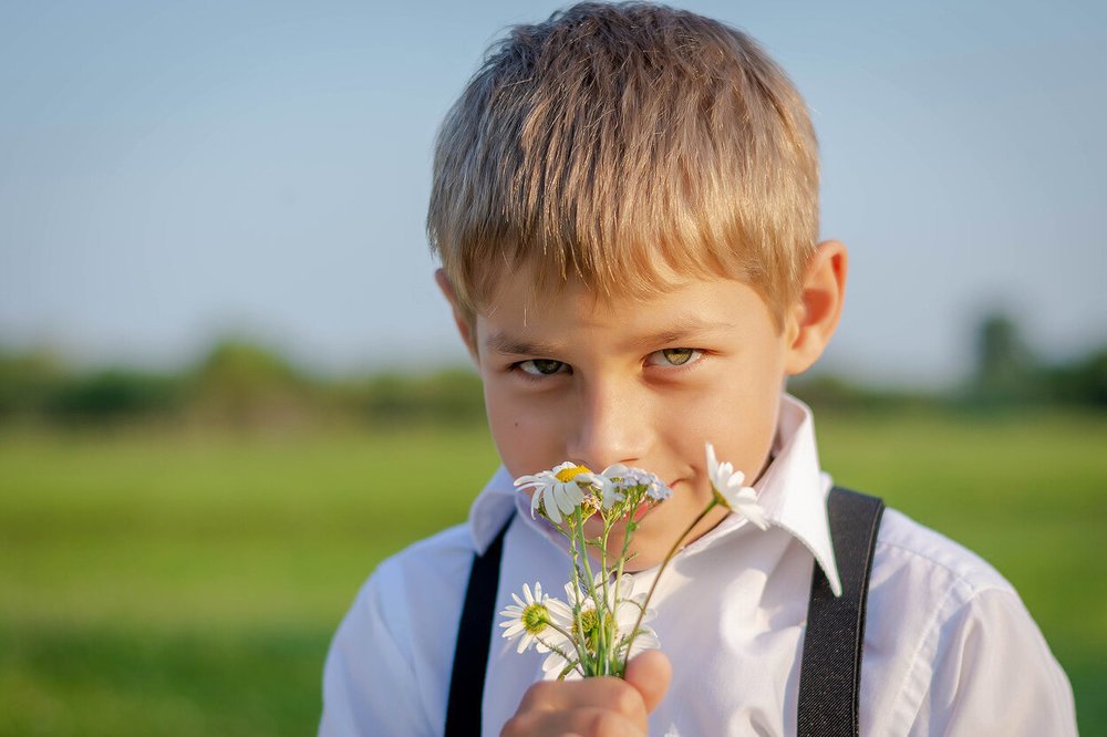 Летние истории